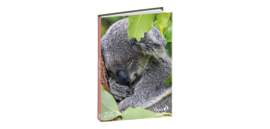 Quo Vadis - Agenda année scolaire - 2026-2027 - Eurotextagenda - Journalier - Multilingue - Mes potes à pattes sauvages - Koala - 12 mois de août à juillet - 12x17 cm