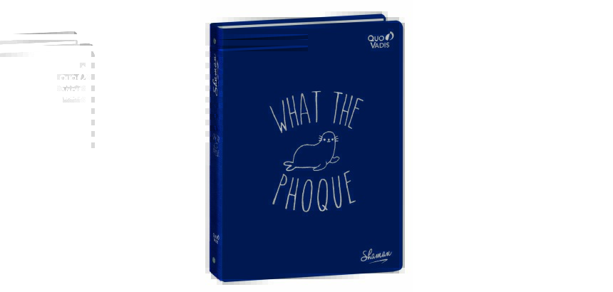 Quo Vadis - Classeur 4 anneaux - Shaman - Blanc - 27x32 cm - par 10