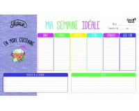 Quo Vadis - Sous-main perpétuel à feuillets - Français - Shaman - Perpétuel - 25x43 cm - par 10