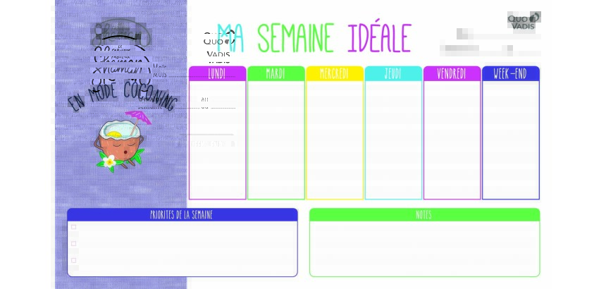 Quo Vadis - Sous-main perpétuel à feuillets - Français - Shaman - Perpétuel - 25 x 43 cm - par 10