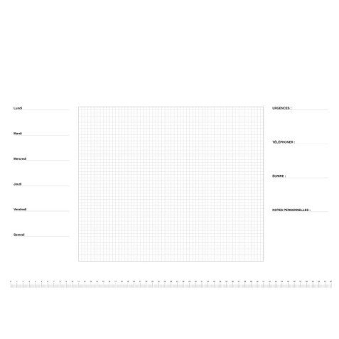Sous-main papier perpétuel Quo Vadis 54 x 40 cm 40 feuilles