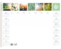 Quo Vadis - Sous-main - 2026 - Français - Equology - 12 mois de janv à déc. - 54x40 cm -  recyclé - par 10