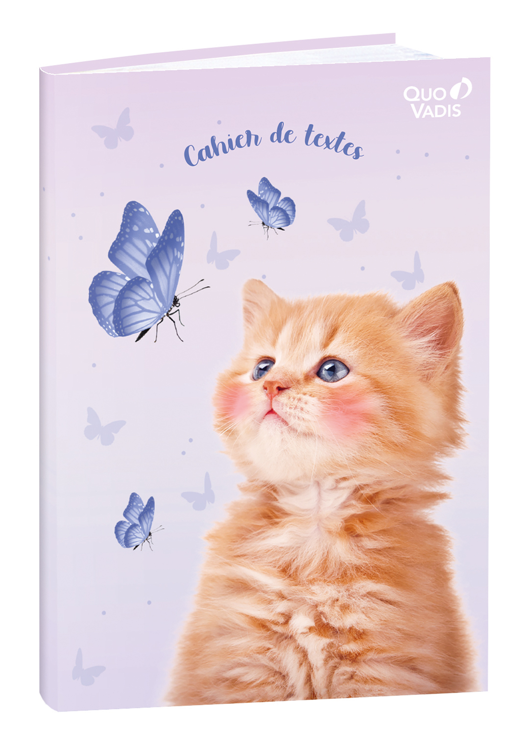 Quo Vadis - Agenda Année Scolaire - 2025-2026 - Eurotextagenda - Journalier - Multilingue - One Way - Multicolore - 12 Mois De Août à Juillet - 12x17 Cm