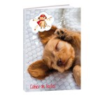 Quo Vadis - Cahier de textes - Français - Mes potes à pattes mignons - Chien - Journalier - 15x21 cm