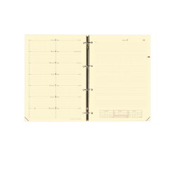 Recharge 'Timer 29 Notes', 2025/2026, 16 mois