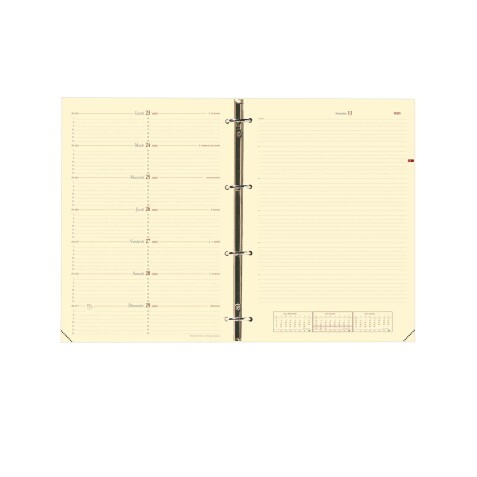 Quo Vadis - Recharge Organiseur - 2025-2026 - Timer 29 Notes Prestige - Semainier Notes - Français - 16 mois de septembre à décembre - 21x29,7 cm