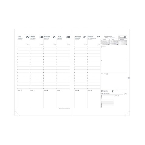 Quo Vadis - Recharge Agenda 16 mois - 2025-2026 - Planning SD - Semainier Planning - Français - 16 mois de septembre à décembre - 18x24 cm