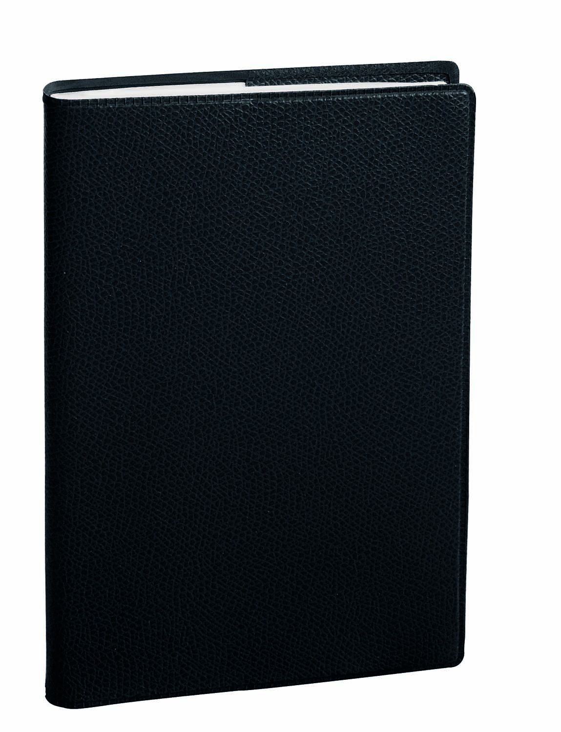 Agenda Quo Vadis Planning SD 16 Mois 2024-2025 - Semainier, Format 18x24 Cm, Papier Clairefontaine