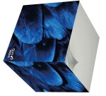 Quo Vadis - Bloc cube - Fantaisie - Multicolore - 9x9x8 cm - par 30