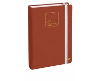 Quo Vadis - Carnet Bullet journal - Multilingue - Life Journal - Marron - Pages Perpétuel - 3 ans de janvier à décembre - 15x21 cm