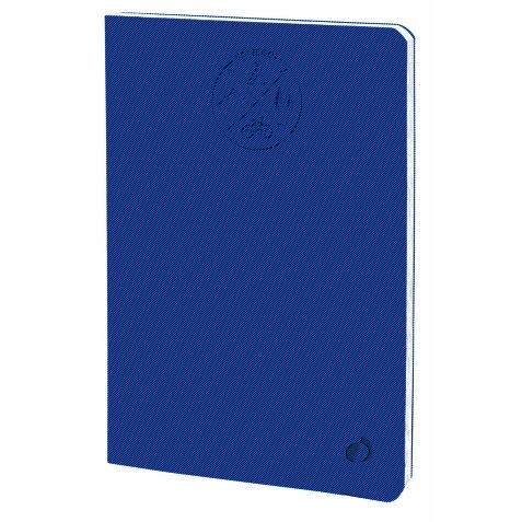 Quo Vadis - Carnet de notes - Everest - Pages Lignées - 15x21 cm