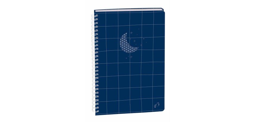 Quo Vadis - Carnet de notes - Spiralé - Authentik - Multicolore - Pages Points (dots) et lignées - 15x21 cm