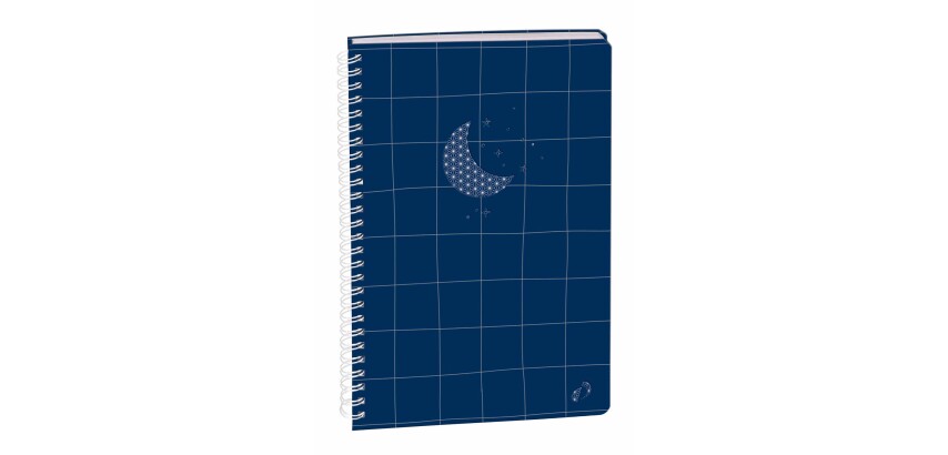 Quo Vadis - Carnet de notes - Spiralé - Authentik - Lune - Pages Points (dots) et lignées - 15x21 cm