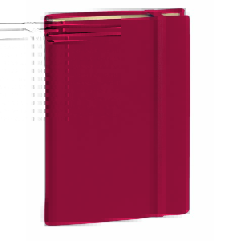 Carnet de note quo vadis 24 lignes silk bordeaux          elastique 192 pages format    16x24cm