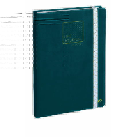 Quo Vadis - Carnet Bullet journal - Multilingue - Life Journal - Pages Points (dots) - 15x21 cm