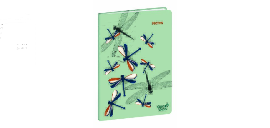 Quo Vadis - Carnet de notes - Fly - Multicolore - Pages Points (dots) et lignées - 15x21 cm