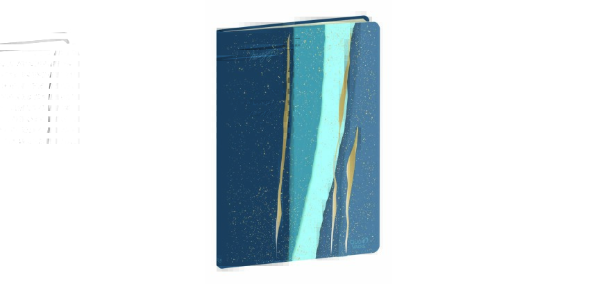 Quo Vadis - Carnet de notes - Marguy Adultes - Multicolore - Pages Points (dots) et lignées - 15x21 cm