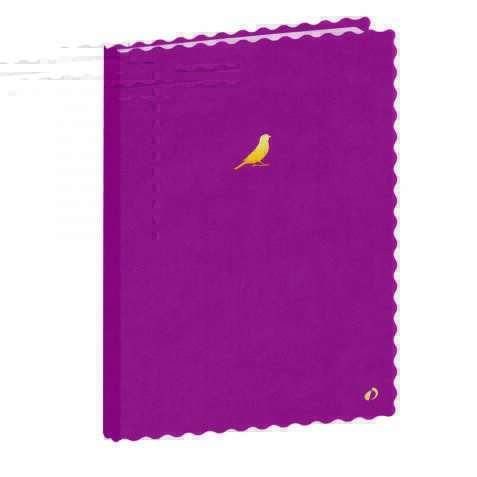 Quo Vadis - Carnet de notes - Fantaisie - Pages Lignées - 15x21 cm