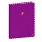 Quo Vadis - Carnet de notes - Fantaisie - Pages Lignées - 15x21 cm