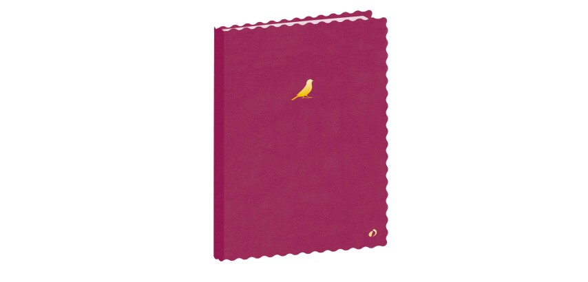 Quo Vadis - Carnet de notes - Festy - Pages Lignées - 15x21 cm