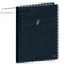 Quo Vadis - Carnet de notes - Fantaisie - Pages Lignées - 15x21 cm