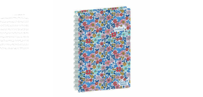 Quo Vadis - Carnet de notes - Spiralé - Daisy - Multicolore - Pages Points (dots) et lignées - 15x21 cm