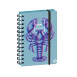 Quo Vadis - Carnet de cuisine - Spiralé - Français - Carnets thématiques - Multicolore - 15x21 cm