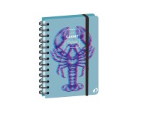 Quo Vadis - Carnet de cuisine - Spiralé - Français - Carnets thématiques - Multicolore - 15x21 cm