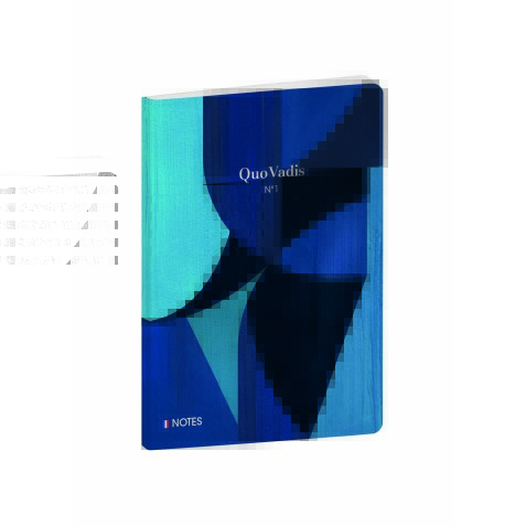 Quo Vadis - Carnet de notes - Iconique - Multicolore - Pages Lignées - 15x21 cm