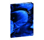Quo Vadis - Carnet de notes - Hipsy - Multicolore - Pages Points (dots) et lignées - 15x21 cm
