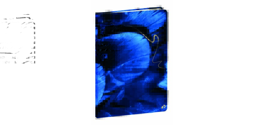 Quo Vadis - Carnet de notes - Hipsy - Multicolore - Pages Points (dots) et lignées - 15x21 cm