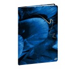 Quo Vadis - Carnet de notes - Hipsy - Plume - Pages Points (dots) et lignées - 15x21 cm