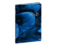 Quo Vadis - Carnet de notes - Hipsy - Plume - Pages Points (dots) et lignées - 15x21 cm