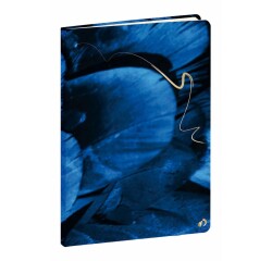 Quo Vadis - Carnet de notes - Hipsy - Plume - Pages Points (dots) et lignées - 15x21 cm