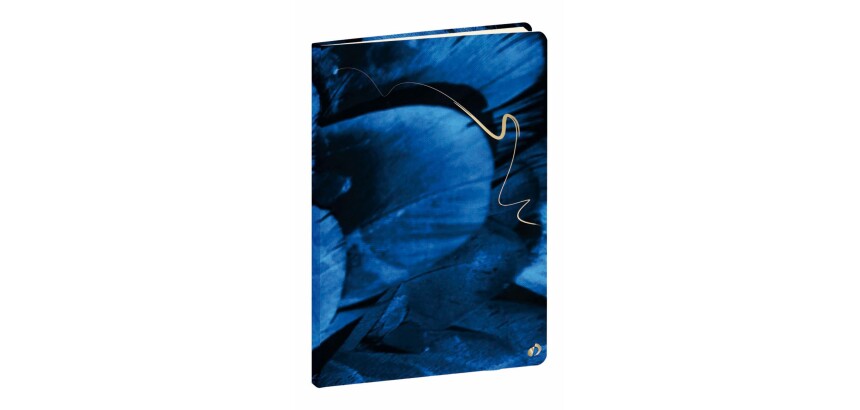 Quo Vadis - Carnet de notes - Hipsy - Plume - Pages Points (dots) et lignées - 15x21 cm