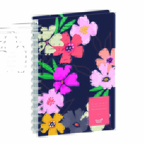 Quo Vadis - Carnet de notes - Spiralé - Daisy - Multicolore - Pages Points (dots) et lignées - 15x21 cm