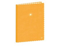 Quo Vadis - Carnet de notes - Festy - Pages Lignées - 15x21 cm