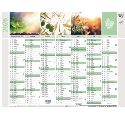 Quo Vadis - Calendrier mural - 2026 - Français - Equology - Multicolore - 14 mois de décembre à janvier - 27x21 cm -  recyclé - par 10