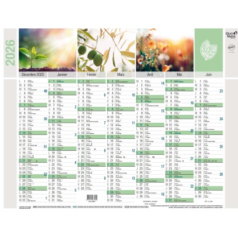 Quo Vadis - Calendrier mural - 2026 - Français - Equology - Multicolore - 14 mois de décembre à janvier - 27x21 cm -  recyclé - par 10