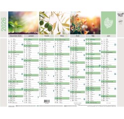 Quo Vadis - Calendrier mural - 2026 - Français - Equology - Multicolore - 14 mois de décembre à janvier - 43x33,5 cm -  recyclé - par 10