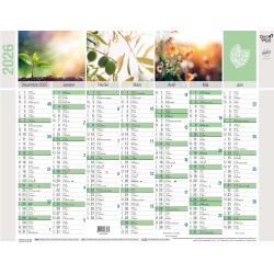 Quo Vadis - Calendrier mural - 2026 - Français - Equology - Multicolore - 14 mois de décembre à janvier - 43x33,5 cm -  recyclé - par 10