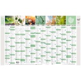 Quo Vadis - Calendrier mural - 2027 - Français - Equology - § - 14 mois de décembre à janvier - 65x40,5 cm recyclé - par 10