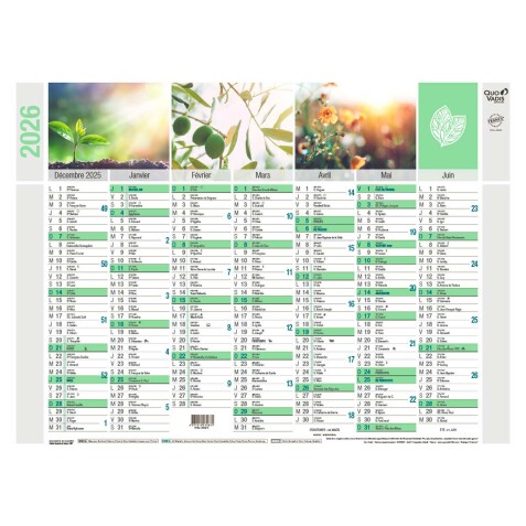 Quo Vadis - Calendrier mural - 2026 - Français - Equology - Multicolore - 14 mois de décembre à janvier - 55x40,5 cm -  recyclé - par 10