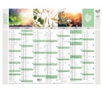Quo Vadis - Calendrier mural - 2027 - Français - Equology - § - 14 mois de décembre à janvier - 43x33,5 cm recyclé