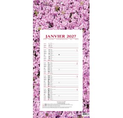 Quo Vadis - Bloc mensuel - 2027 - Français - Fantaisie - Fleurs - 12 mois de janvier à décembre - 16x33,5 cm