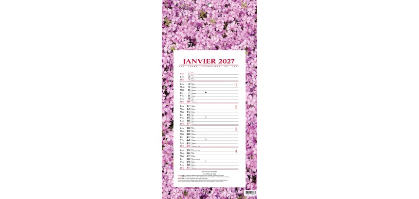 Quo Vadis - Bloc mensuel - 2027 - Français - Fantaisie - Fleurs - 12 mois de janvier à décembre - 16x33,5 cm