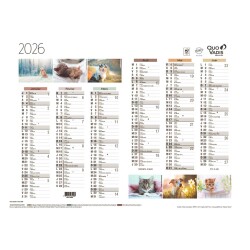 Quo Vadis - Calendrier mural - 2026 - Français - Fantaisie - Multicolore - 12 mois de janv à déc. - 55x40,5 cm - par 10