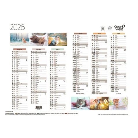 Quo Vadis - Calendrier mural - 2026 - Français - Fantaisie - Multicolore - 12 mois de janv à déc. - 55x40,5 cm - par 10