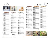 Quo Vadis - Calendrier mural - 2027 - Français - Fantaisie - Animaux - 12 mois de janvier à décembre - 55x40,5 cm - par 10