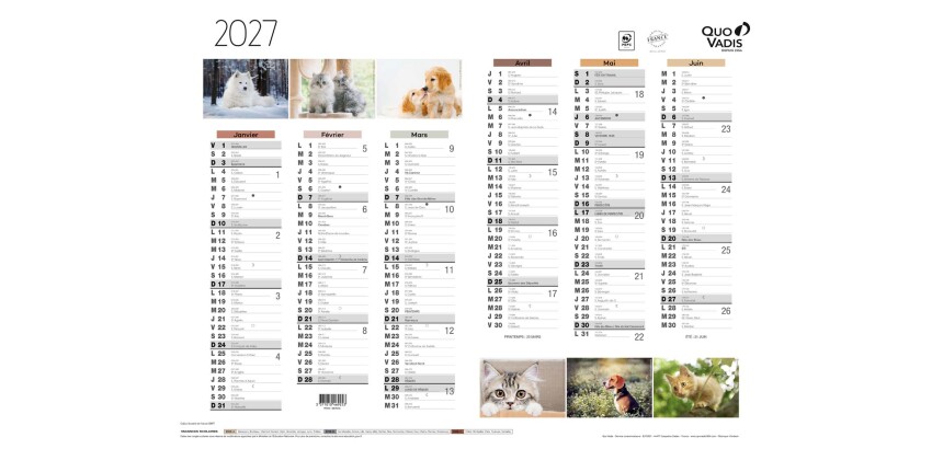 Quo Vadis - Calendrier mural - 2027 - Français - Fantaisie - Animaux - 12 mois de janvier à décembre - 55x40,5 cm - par 10